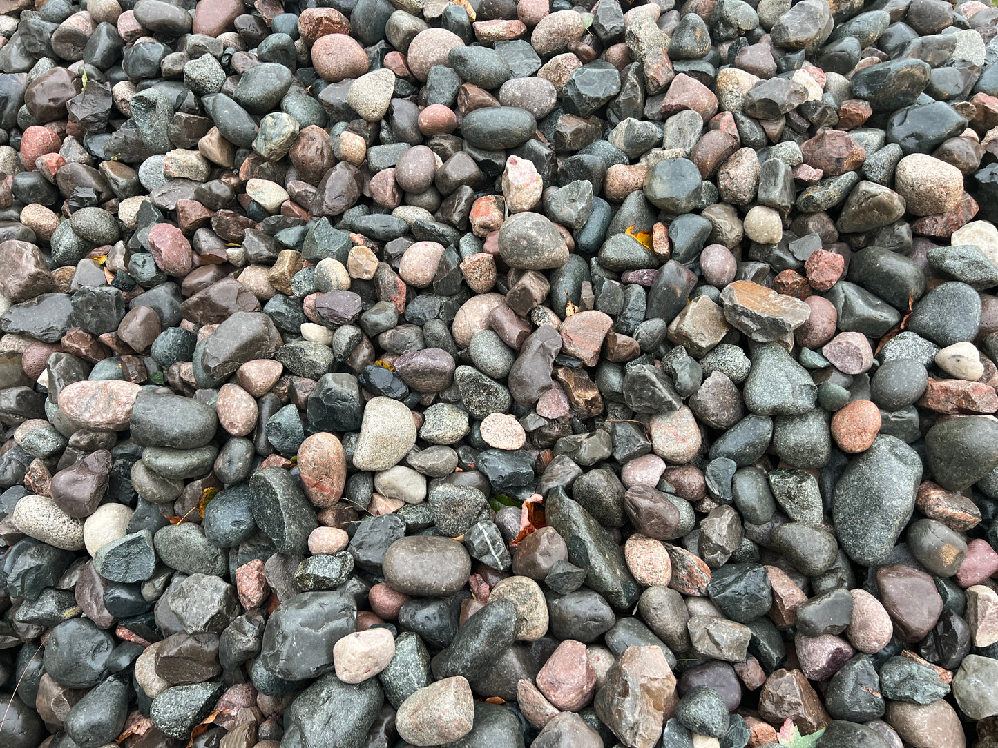 Blue River Rock (Cobbles)