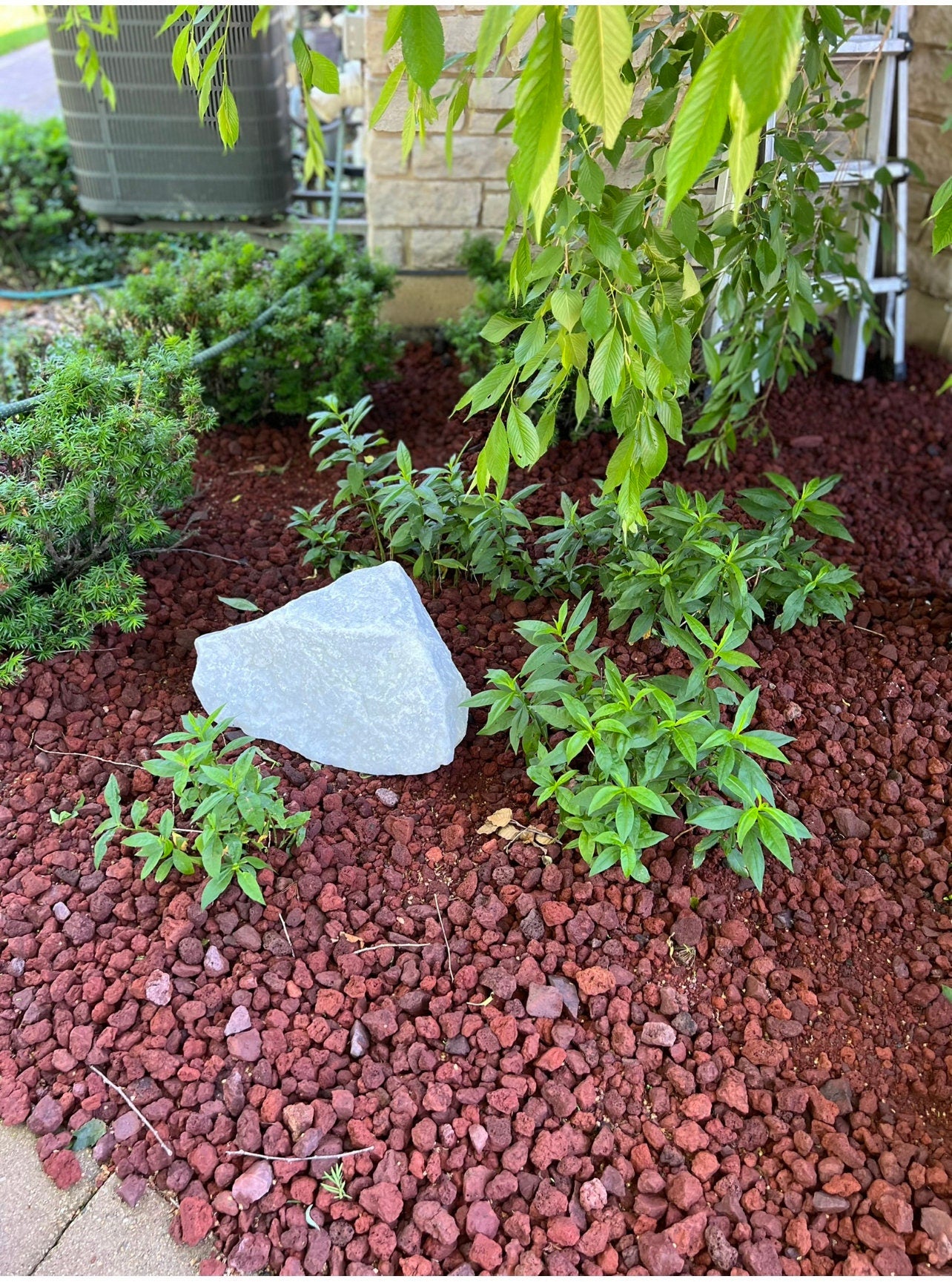 Red Lava - WNY Direct Per Yard